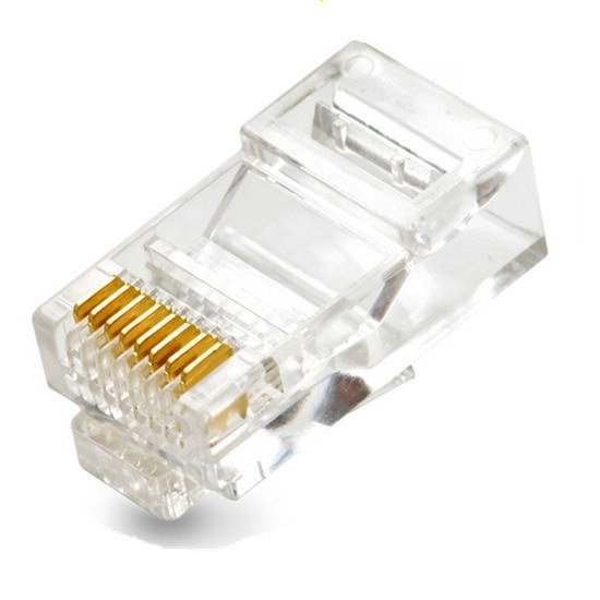 cat5e-head-1.jpg