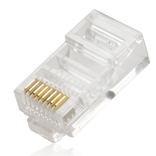 cat5e-head-2.jpg