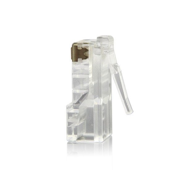 cat5e-head-5.jpg