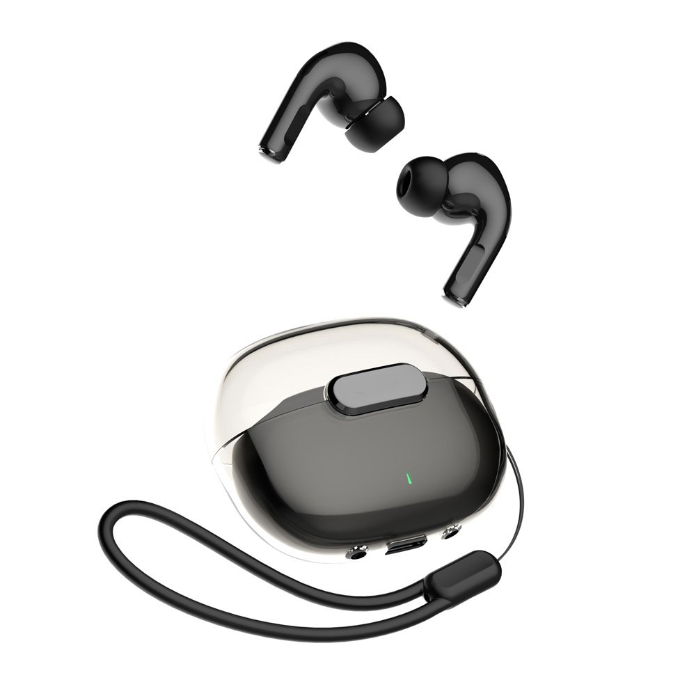 ear-t02-1.jpg