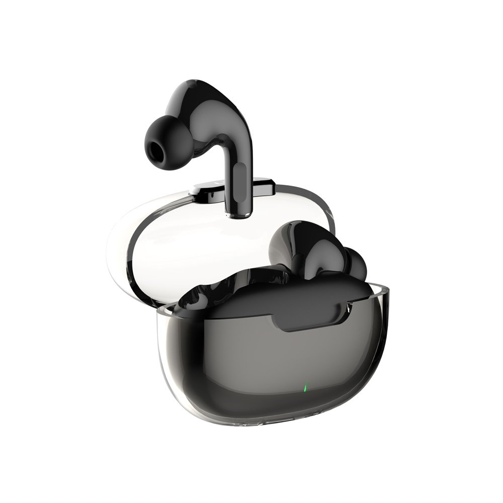 ear-t02-2.jpg