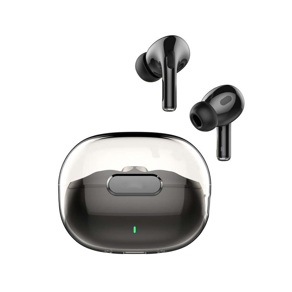 ear-t02-5.jpg