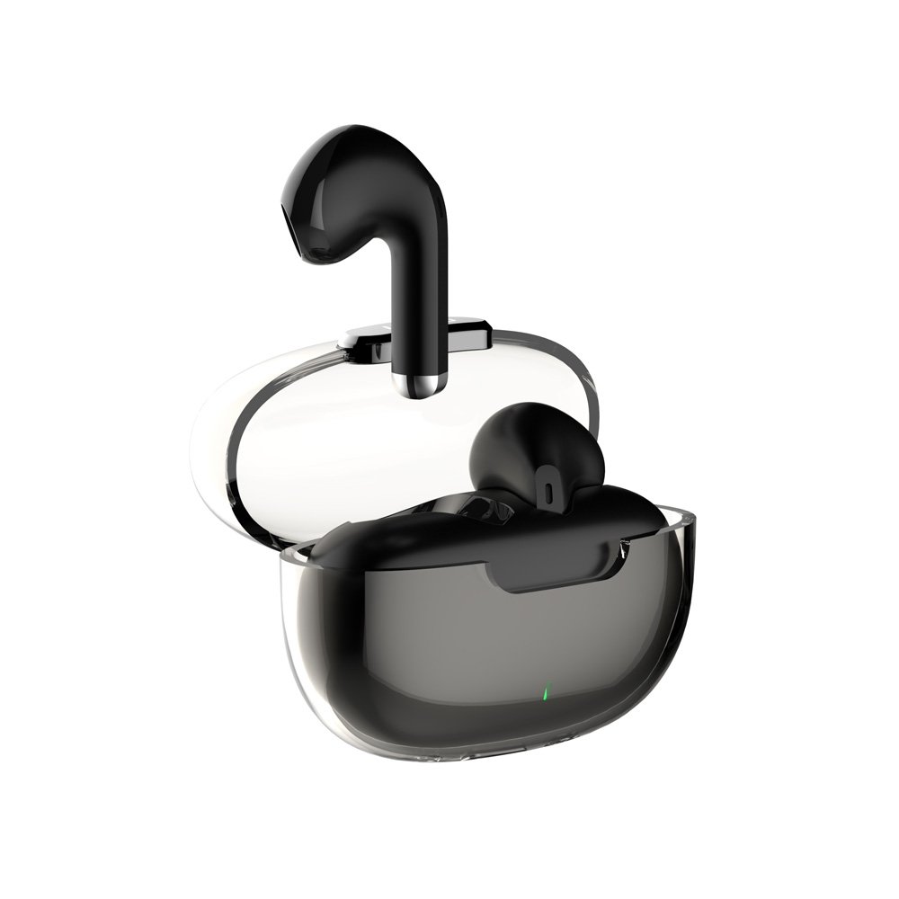 ear-t03-2.jpg