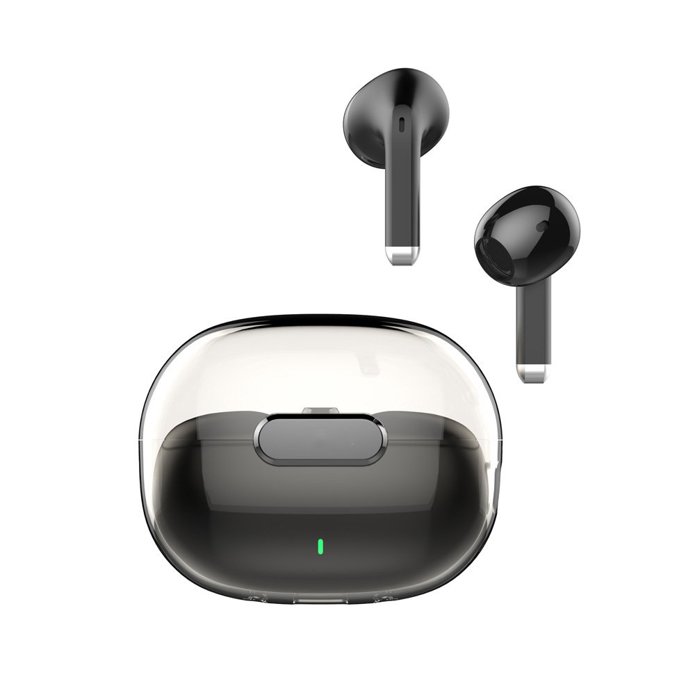 ear-t03-5.jpg