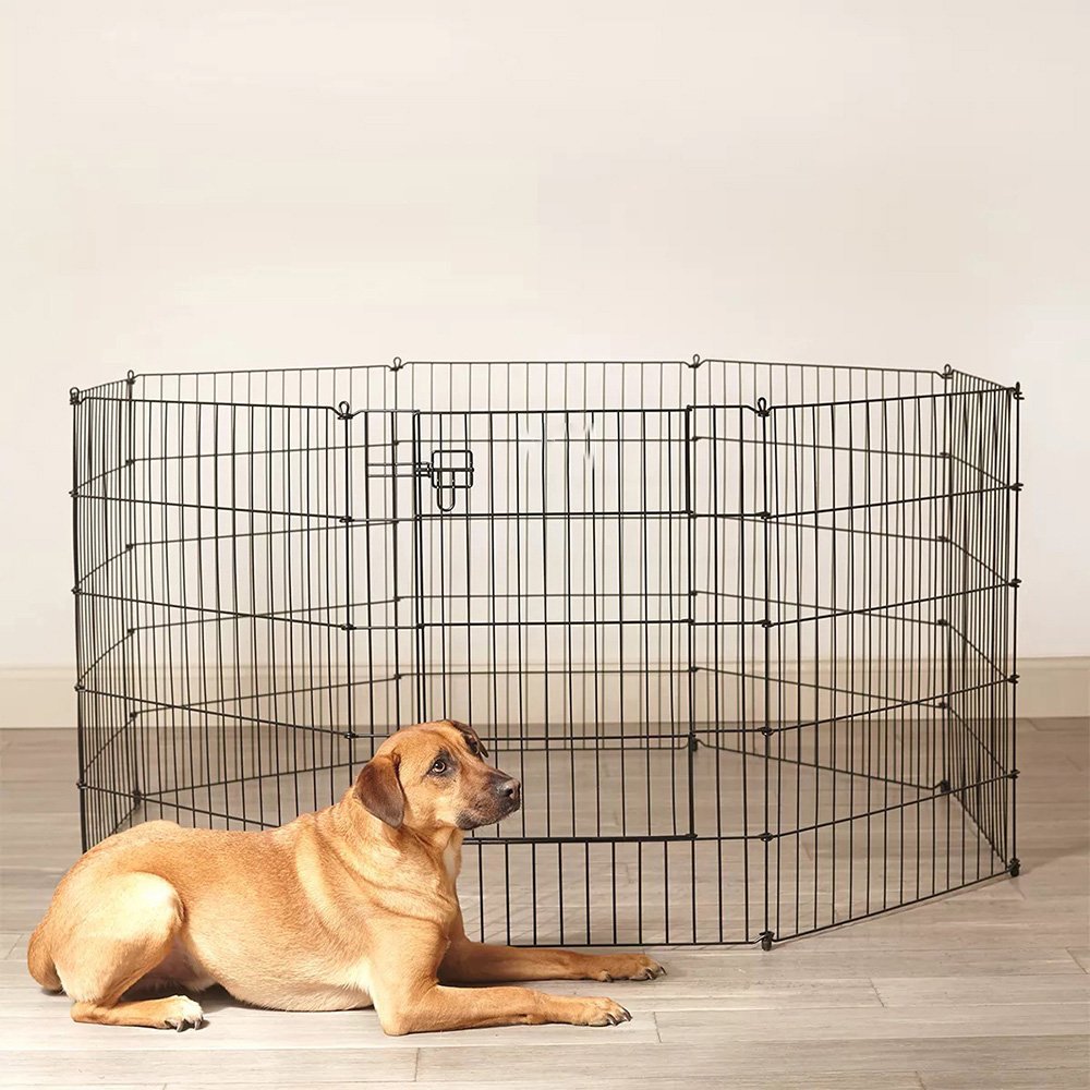 pet-met-fen-2.jpg