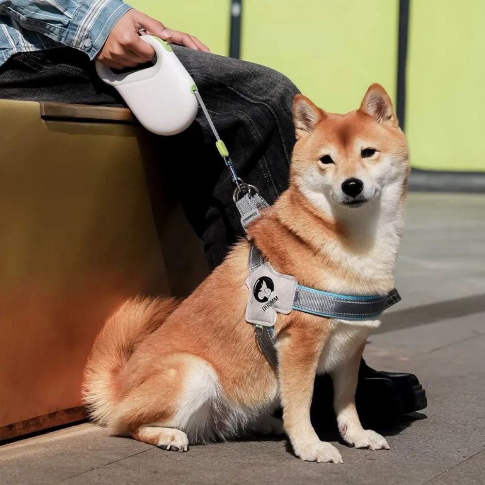 pt-leash-3.jpg