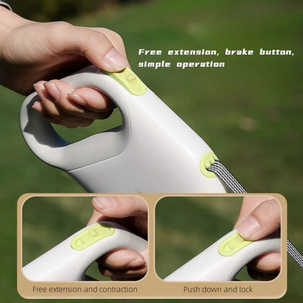 pt-leash-4.jpg