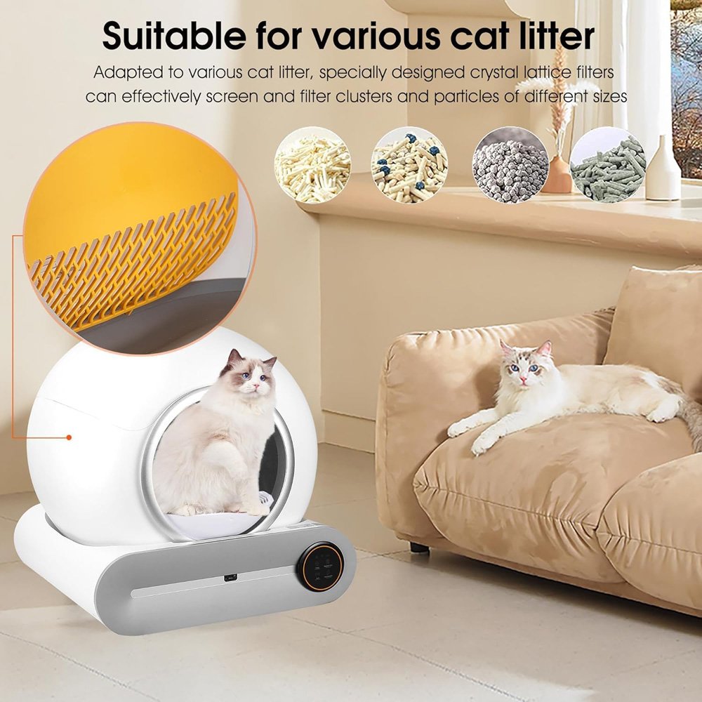 pt-litter-auto-5.jpg