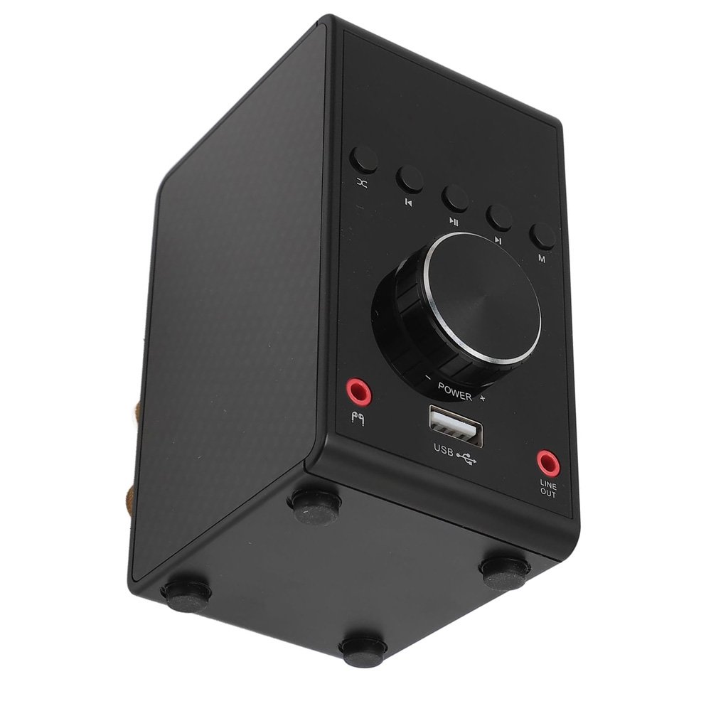 spk-amp-opt-2.jpg