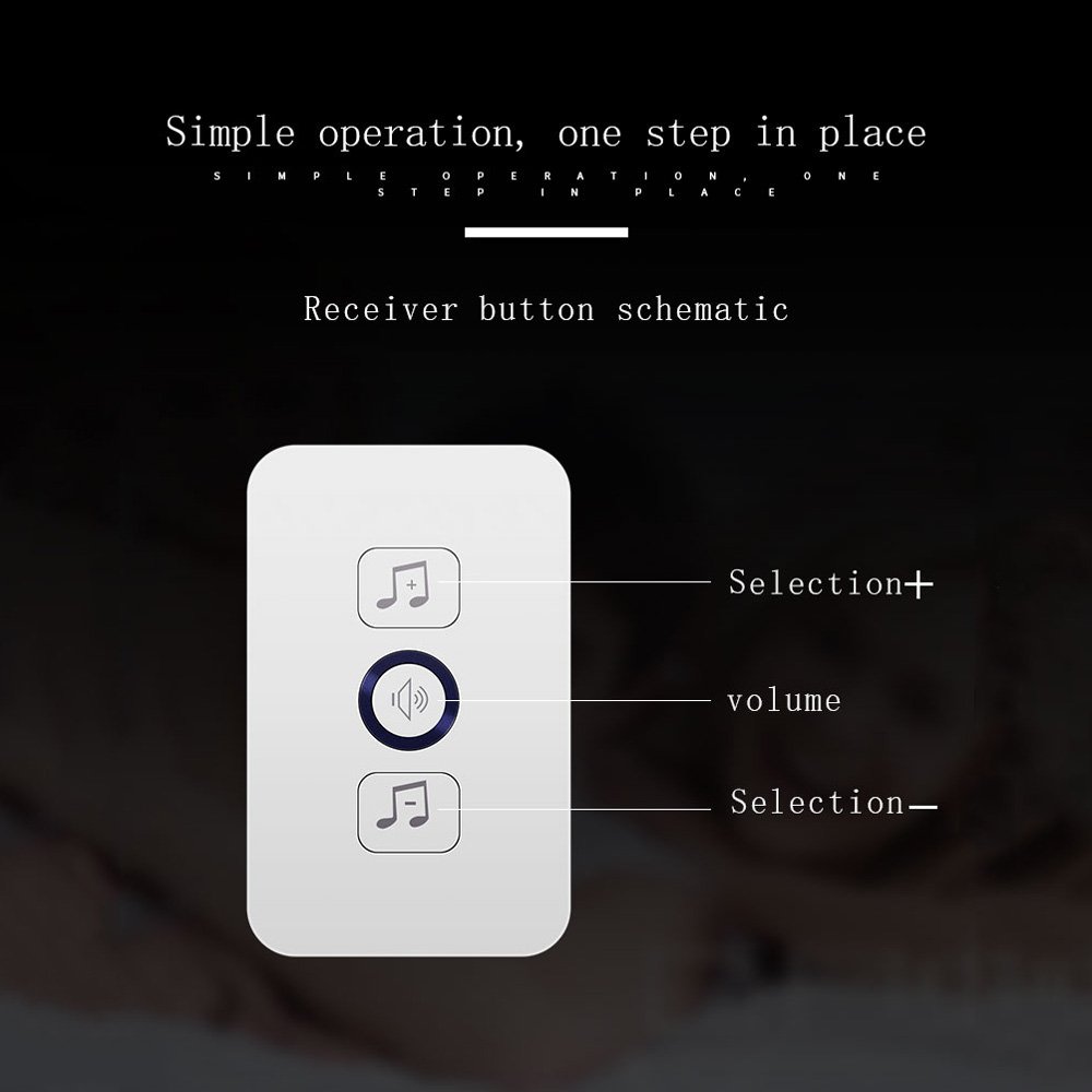 tl-bell-dr-3.jpg